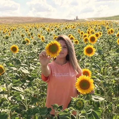 🌻 profile