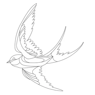 Bird of Flight profile