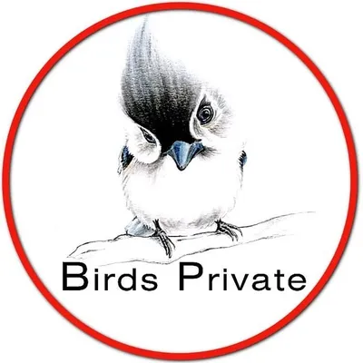 birds_private profile