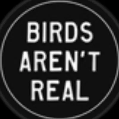 Birds Aren’t Real profile
