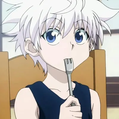 Killua Zoldyck profile