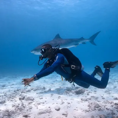 Bj Scott | Adventure Backpacker profile