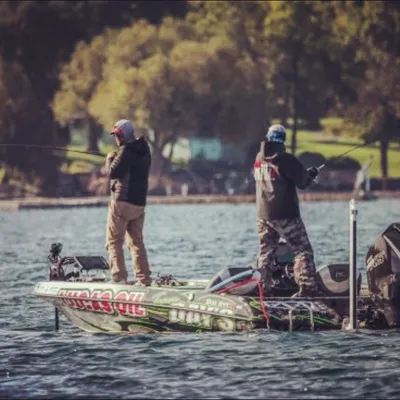 Brandon Johnson profile