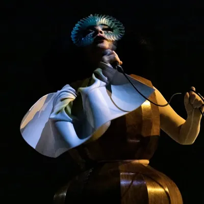 Björk profile