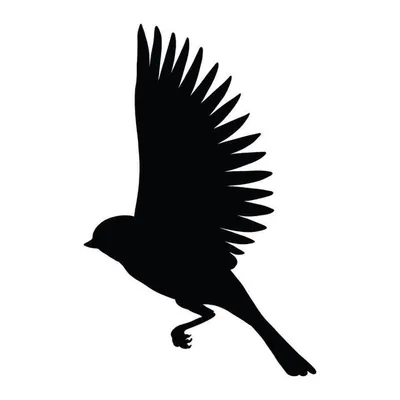 BLACKBIRD - Cocktail Bar profile