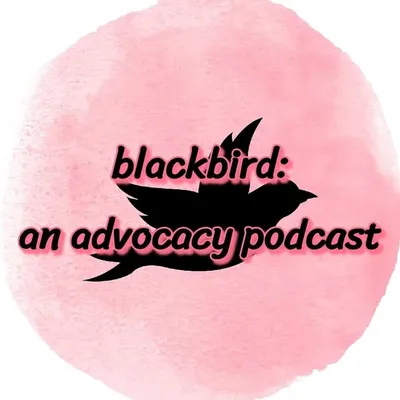blackbird: an advocacy podcast profile