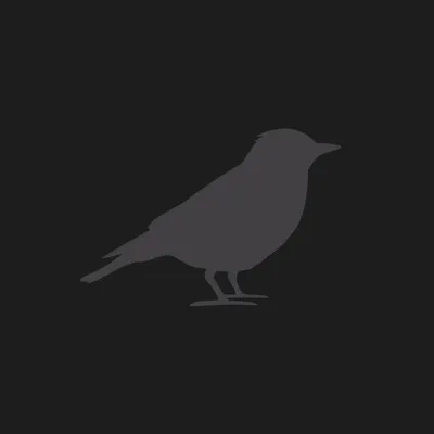 Blackbird Drum Company profile