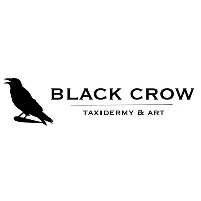 Black Crow Taxidermy Singapore profile