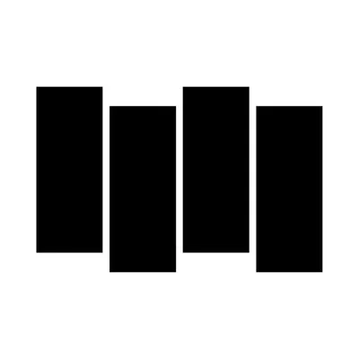 BLACK FLAG profile
