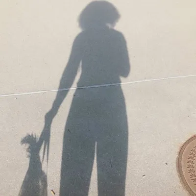 Alexis Nikole ๐พ๐ profile