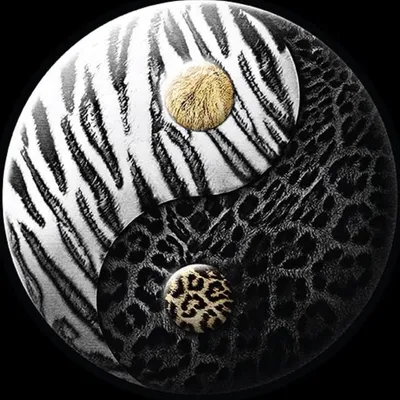 Black Jaguar-White Tiger profile