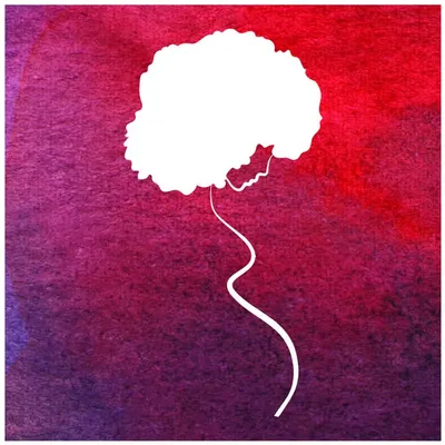 Black Mamas Matter Alliance profile