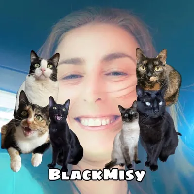 BlackMisy profile