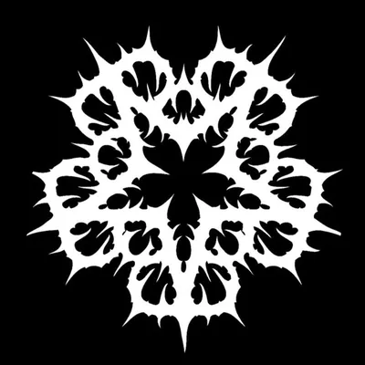Black Veil Brides profile