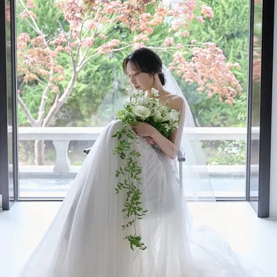 보 경 profile