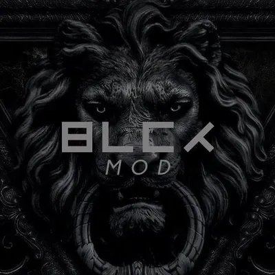 BLACK MODE profile