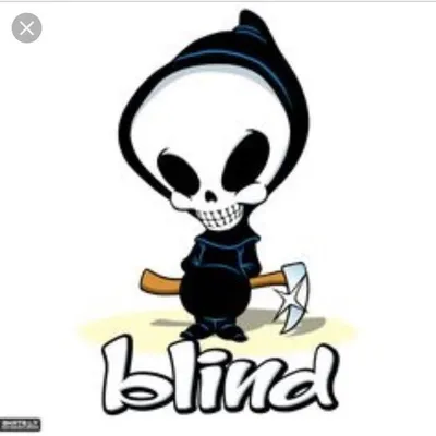 Blind Skateboards profile