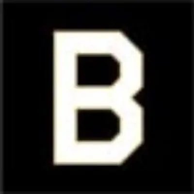 BLITZ profile