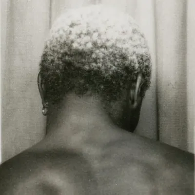 profile