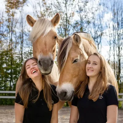 Blondis auf Fjordis profile