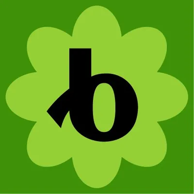 Bloomerang profile