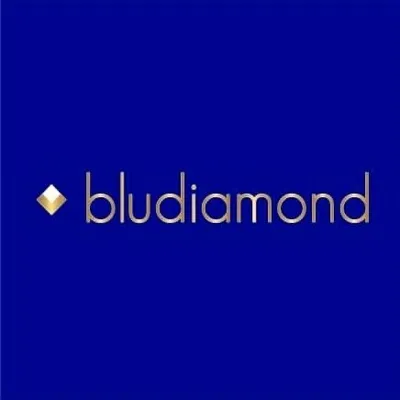 Bludiamond 🔹 profile