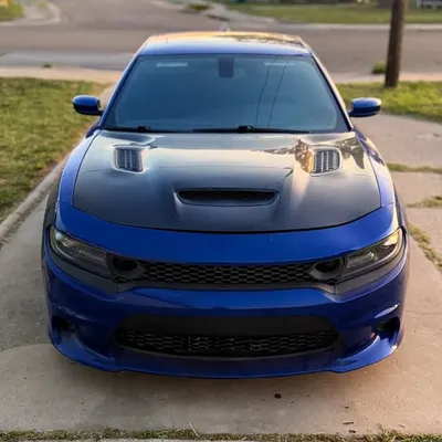 profile