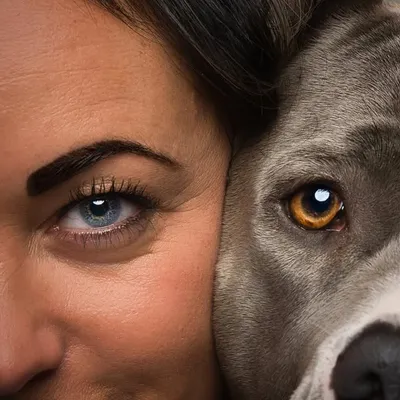🐾𝒜𝓁𝒾𝒶🐾 profile