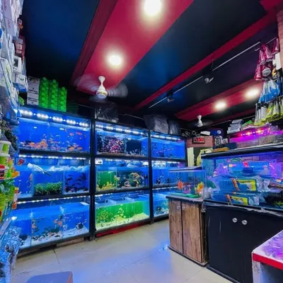 Blue star Aquariums profile