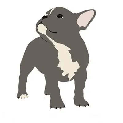 Blue Frenchies UK profile