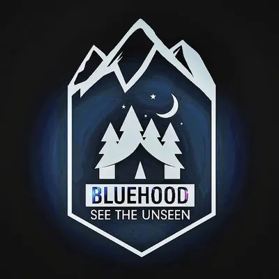 BLUEHOOD profile