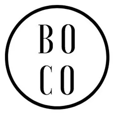 BLUE OCEAN CO profile