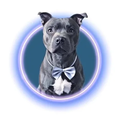 Bluestaffywalter profile