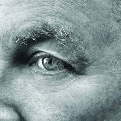 Robert Wilson profile