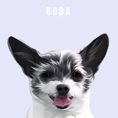 Bobađź§‹ profile