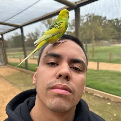 Bobby Rivas profile
