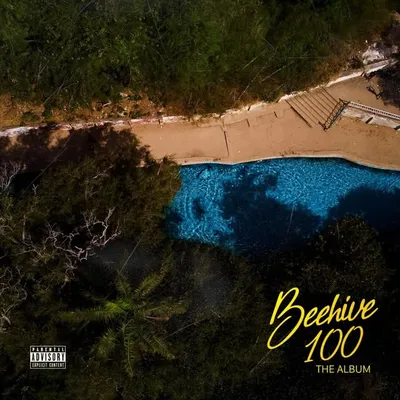 BEEHIVE 100 profile