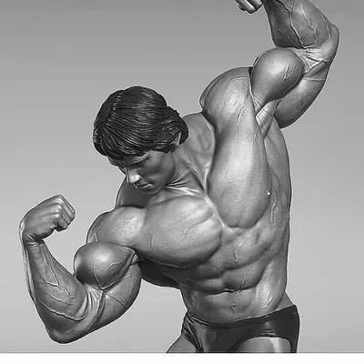 BodyBuilding ๐ช profile