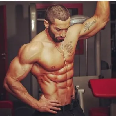 body_fitness_education profile