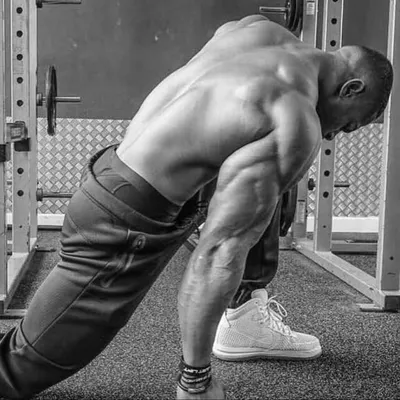 Best of Bodybuilding profile