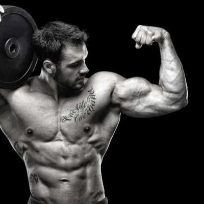 BodyBuilding profile