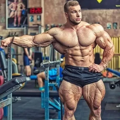 GYM/FITNESS/HEALTH_TRAINER profile