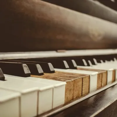 ๐น| Bold Piano profile