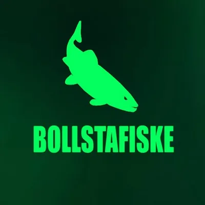 Häng med! profile