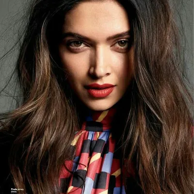 BollywoodPagal profile