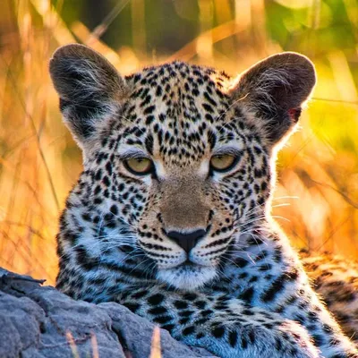 Bolzphotography_Travel profile