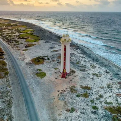 Best Bonaire Pictures profile