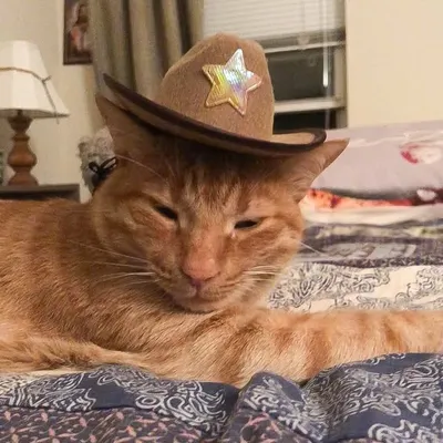 Dooka n’ Tuta profile