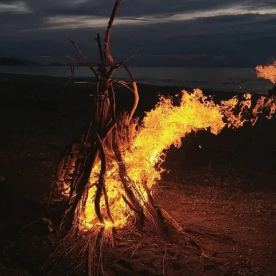 The Bonfire Diaries profile