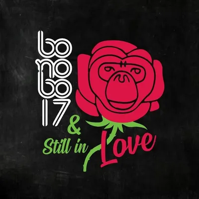 Bonobo, Bandra profile